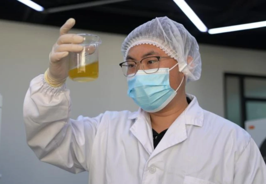 Jabatan Penyelidikan dan Pembangunan (R&D)